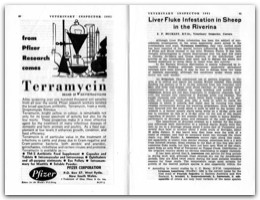 1961 Page 40 41